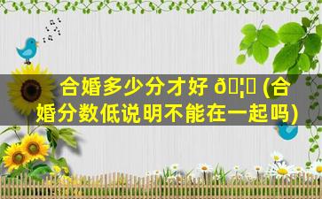 合婚多少分才好 🦉 (合婚分数低说明不能在一起吗)